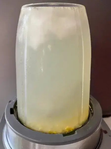 lemonade ingredients in the blender